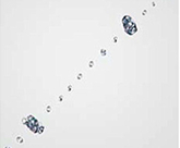 エアインワンダーウェーブ洗浄